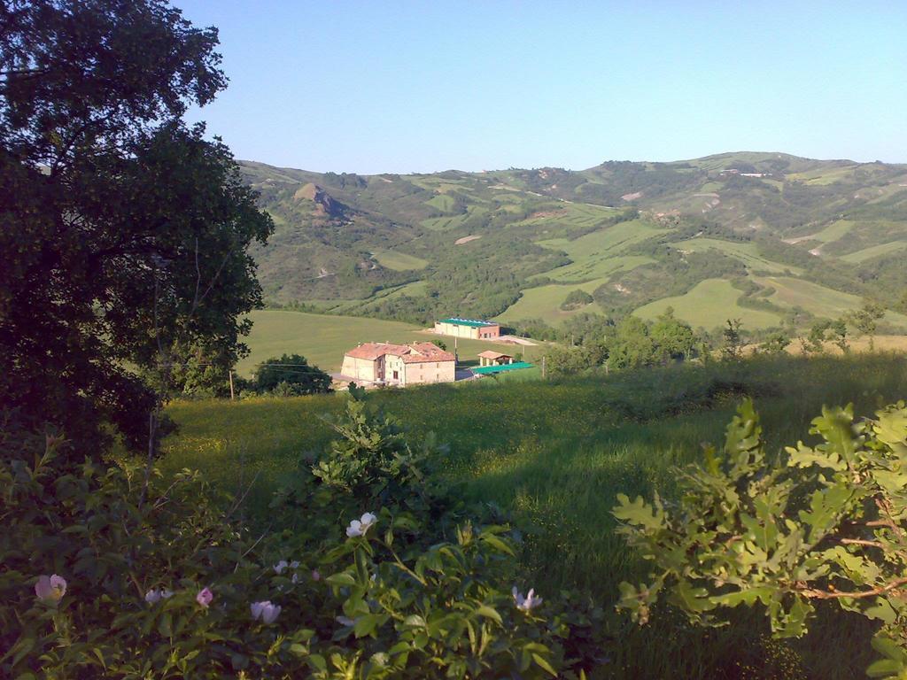 Prato Degli Angeli Bauernhof *