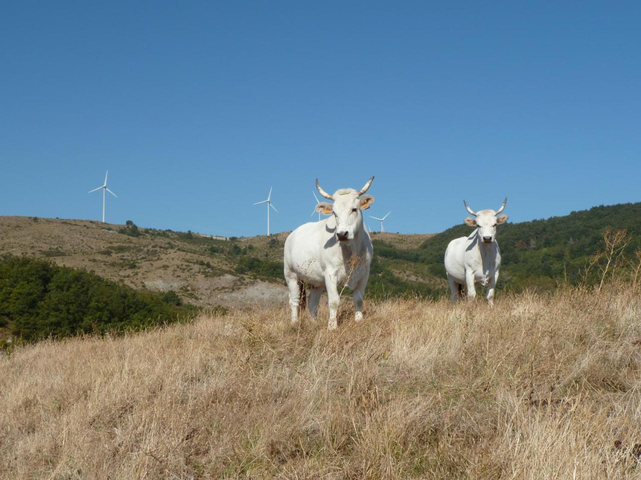 Prato Degli Angeli Agroturismo Sassoleone